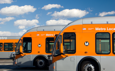 photo of Metro buses